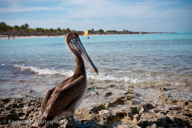 Cuba for Blog-3