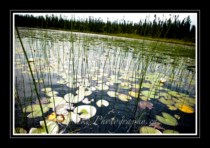 Vacation for blog-12